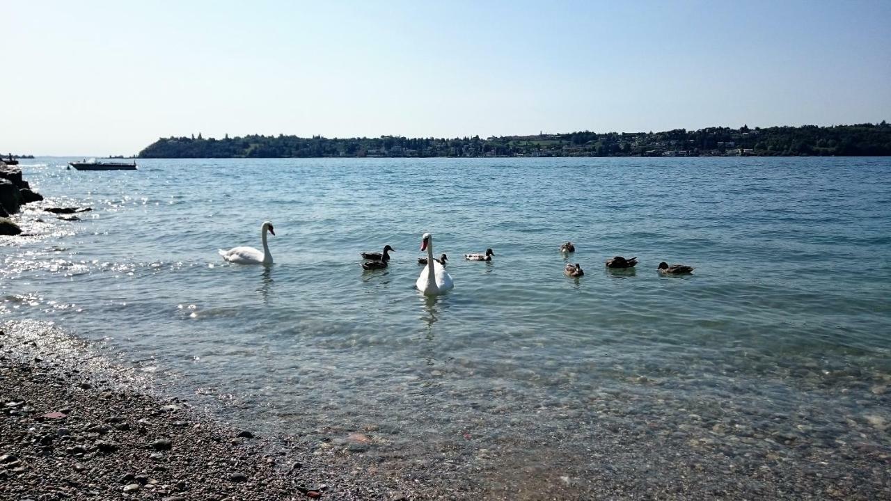 סאלו Brezza Di Lago מראה חיצוני תמונה